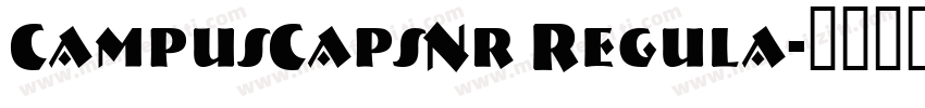 CampusCapsNr Regula字体转换